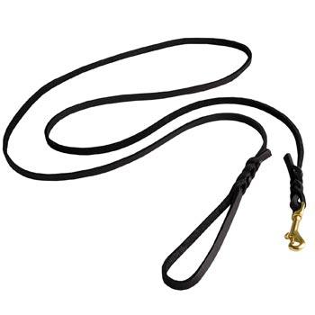 Best Walking Dogue de Bordeaux Leash Designer Supply for Walking in Style