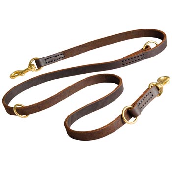 Leather Leash for Dogue de Bordeaux Everyday Walking