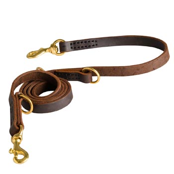 Strong Leather Leash for Dogue de Bordeaux Successful Training