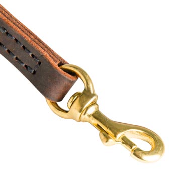 Dogue de Bordeaux Leather Leash with Brass Hardware