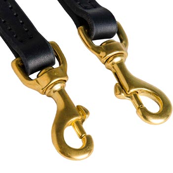 Leather Leash for Dogue de Bordeaux with Rust Resistant Snap Hooks