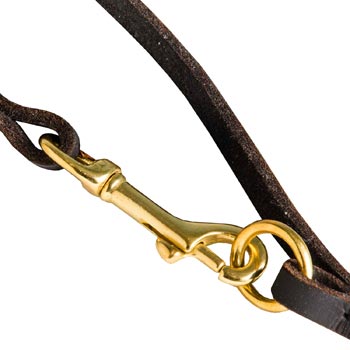 Leather Dogue de Bordeaux Leash with Brass Hardware for Dog Control