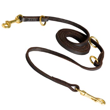 Multipurpose Dogue de Bordeaux Leather Leash for Effective Training