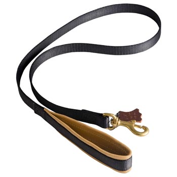 Special Nylon Dog Leash Comfortable to Use for Dogue de Bordeaux