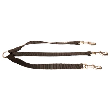 Triple Nylon Leash for Walking 3 Dogue de Bordeaux Dogs