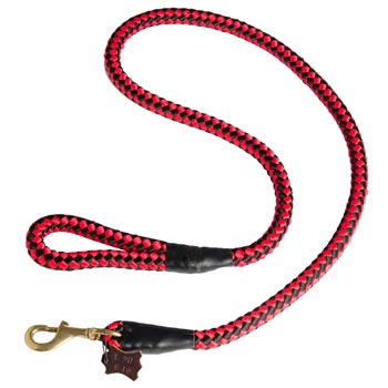 Dogue de Bordeaux Red Nylon Leash for Walking and Training