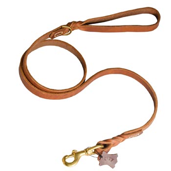 Training Leather Dogue de Bordeaux Leash with Handle