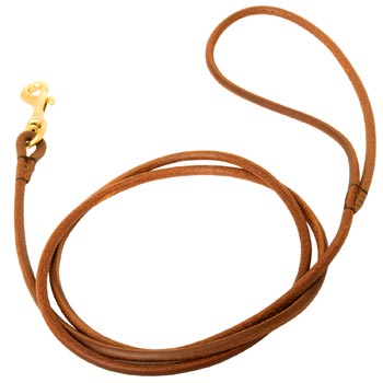 Leather Round Leash for Dogue de Bordeaux Elegant Look