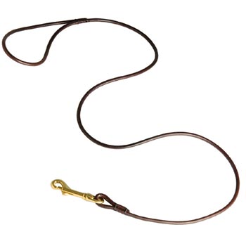 Leather Canine Leash for Dogue de Bordeaux Presentation at Dog Shows