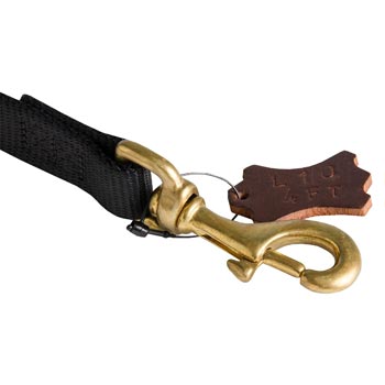 Nylon Dogue de Bordeaux Leash with Dependably Stitched Brass Snap Hook