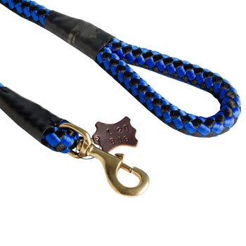 Blue Nylon Dogue de Bordeaux Leash 