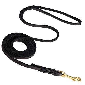 Training Leather Dogue de Bordeaux Leash with Amazing Braids