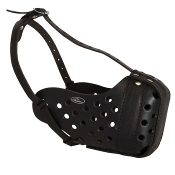 Training Leather Dog Muzzle for Dogue de Bordeaux