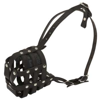 Leather Cage Dogue de Bordeaux Muzzle Padded