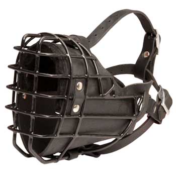 Winter Fully Wire Dogue de Bordeaux Padded Muzzle Cage