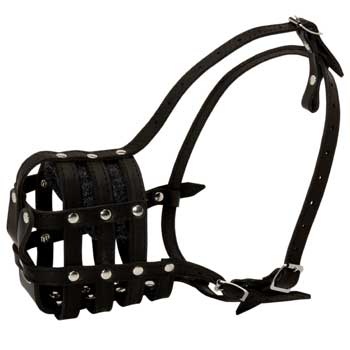 Dogue de Bordeaux Muzzle Leather Cage for Daily Walking