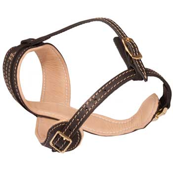 Dogue de Bordeaux Muzzle Leather Easy Adjustable with Quick Release Buckle