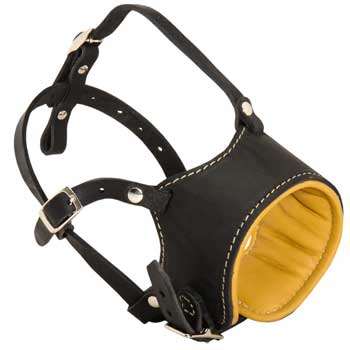 Adjustable Dogue de Bordeaux Muzzle Padded with Soft Nappa Leather for Anti-Barking Training
